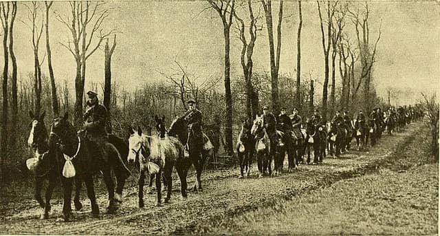 Chevaux de trait tirant une pièce d'artillerie lourde dans la boue du front, 1917