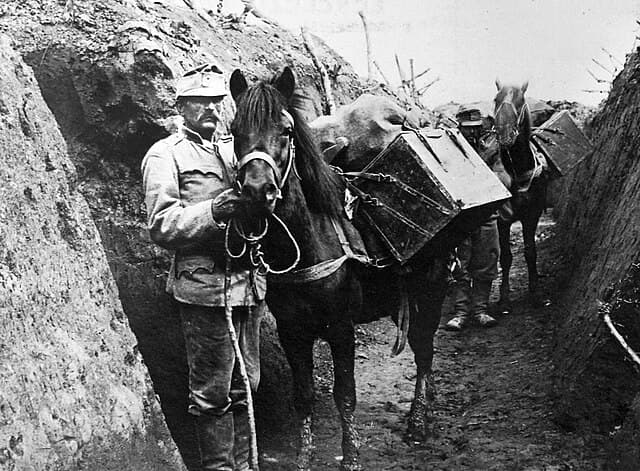 Cheval transportant du ravitaillement